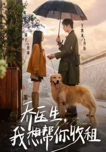 乔医生,我想帮你收租