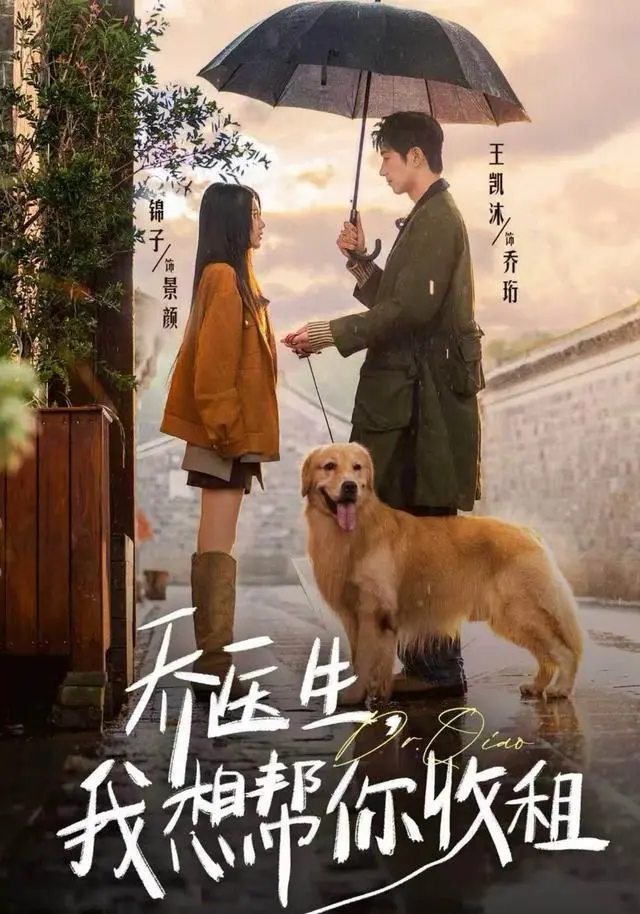 《乔医生,我想帮你收租》全集高清完整版在线观看与剧情解析