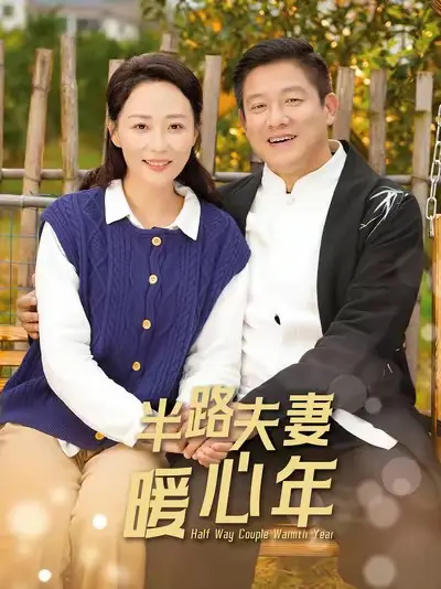 《半路夫妻暖心年》全集高清完整版在线观看与剧情解析