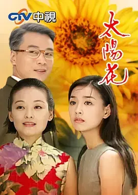 《太阳花1998》全集高清完整版在线观看与剧情解析