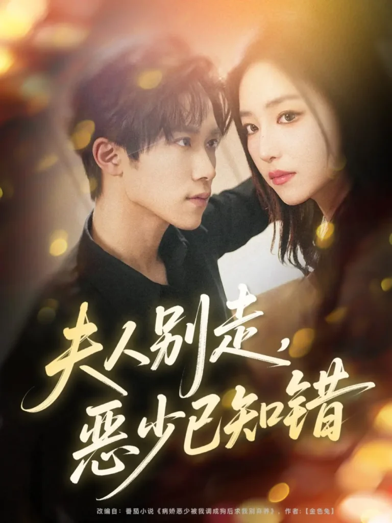 《夫人别走恶少已知错》全集高清完整版在线观看与剧情解析