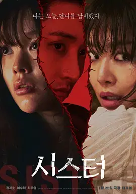 《姐妹2026》全集高清完整版在线观看与剧情解析