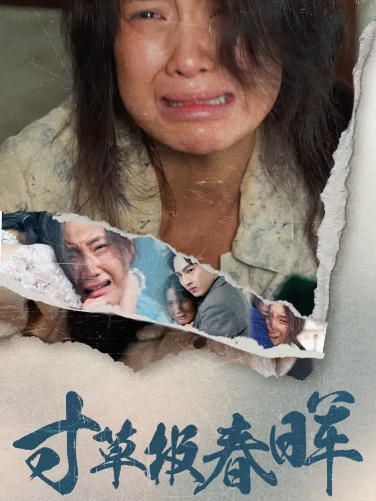 《寸草报春晖》全集高清完整版在线观看与剧情解析