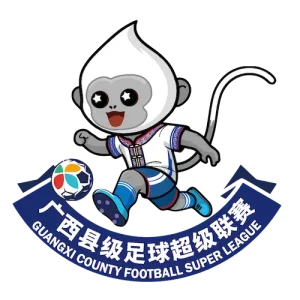 广西县级足球超级联赛 贺州市平桂区队1-0贵港市港南区队20260314