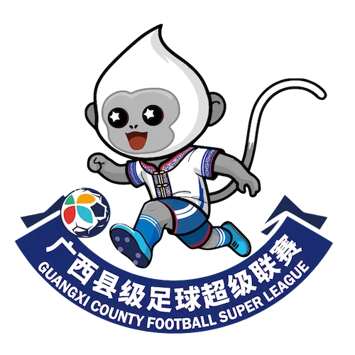 广西县级足球超级联赛 贺州市平桂区队1-0贵港市港南区队20260314