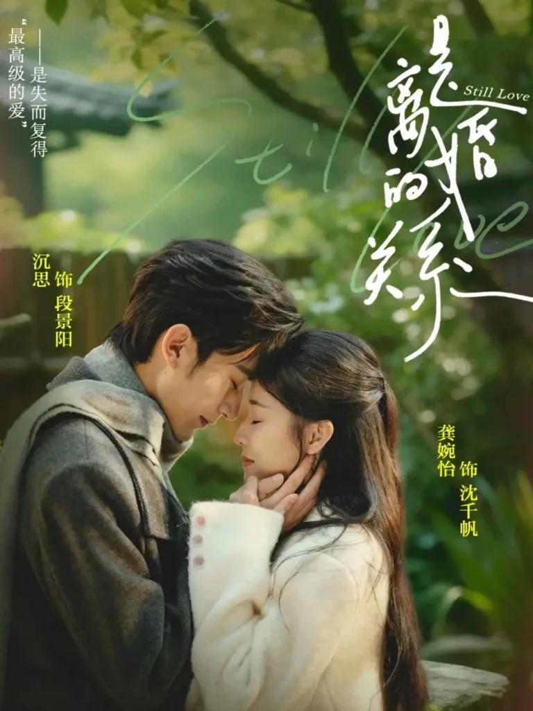 《是离婚的关系》全集高清完整版在线观看与剧情解析