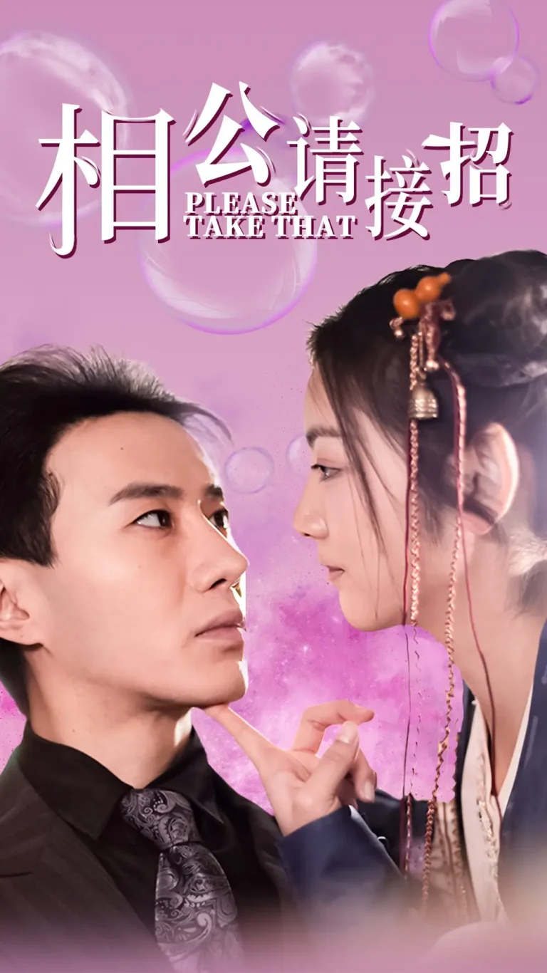《相公请接招》全集高清完整版在线观看与剧情解析