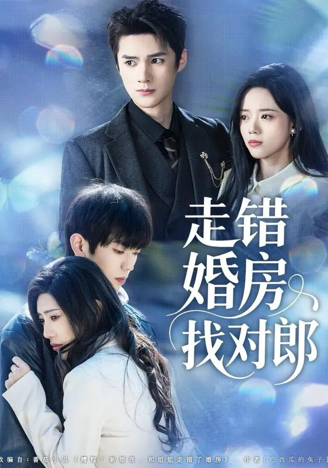 《走错婚房找对郎》全集高清完整版在线观看与剧情解析