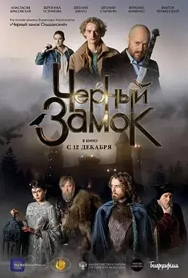 《黑色城堡》全集高清完整版在线观看与剧情解析