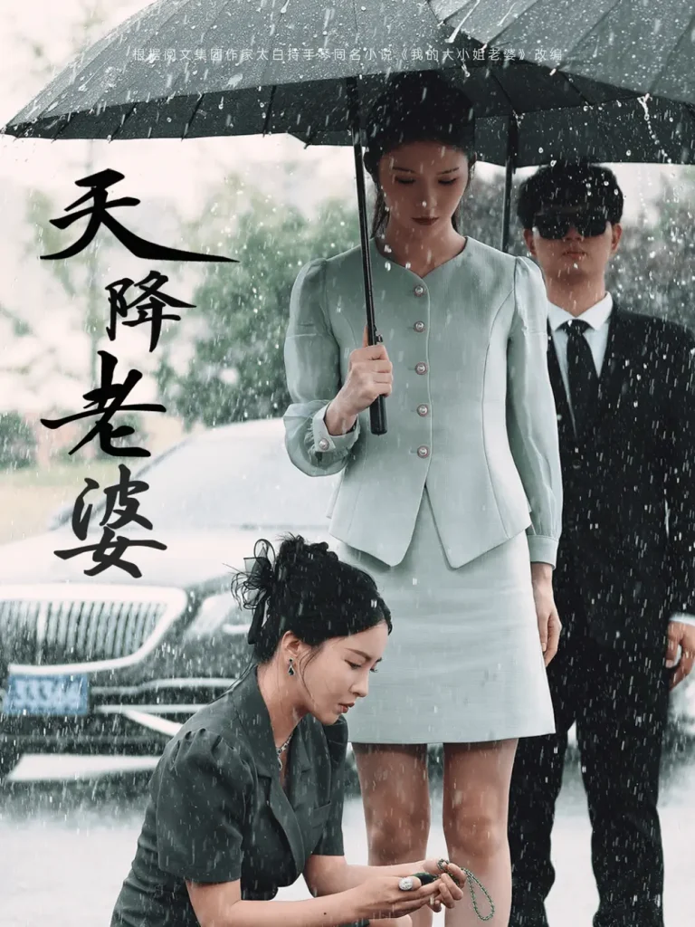 《天降老婆》全集高清完整版在线观看与剧情解析