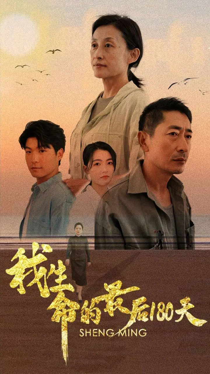 《我生命的最后180天》全集高清完整版在线观看与剧情解析
