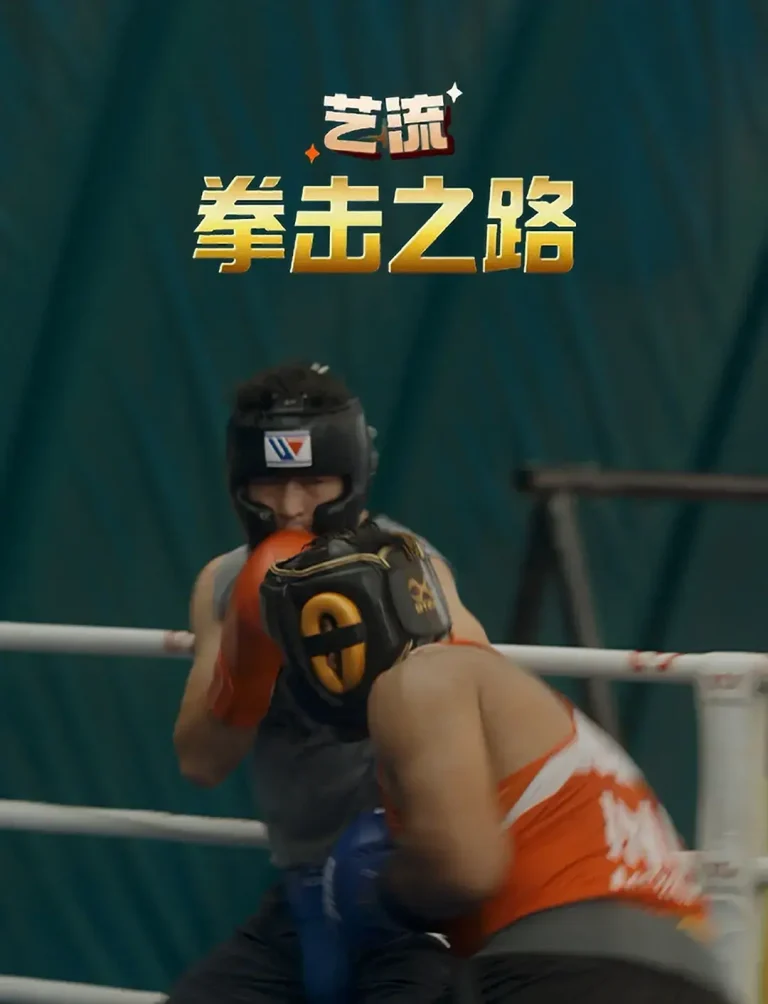《艺流·拳击之路》全集高清完整版在线观看与剧情解析